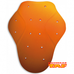 Held D30 Schulterprotektoren '24 