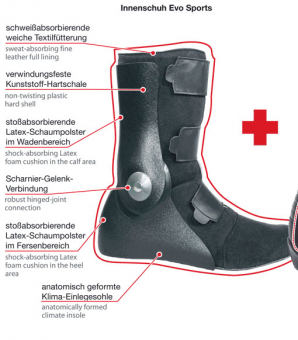 Daytona Evo Sports & Evo Voltex Innenschuh '24 