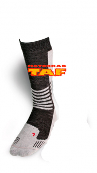 Daytona Trans Tex Socken kurz '24 